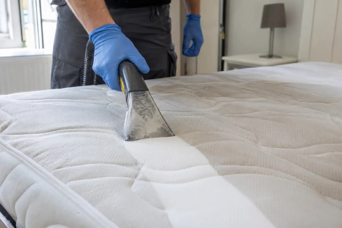 Specialist in huisstofmijtbestrijding in Tiel