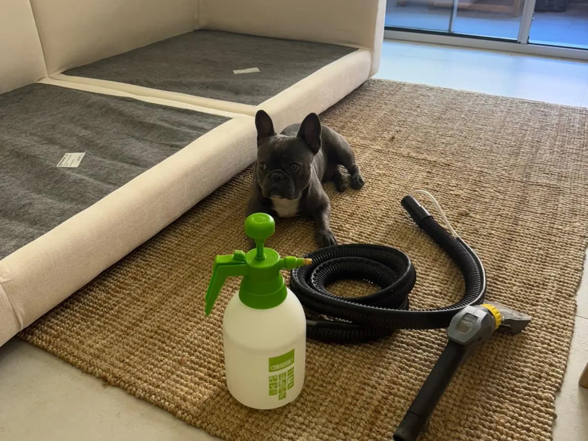Carpet cleaning in Beverwijk